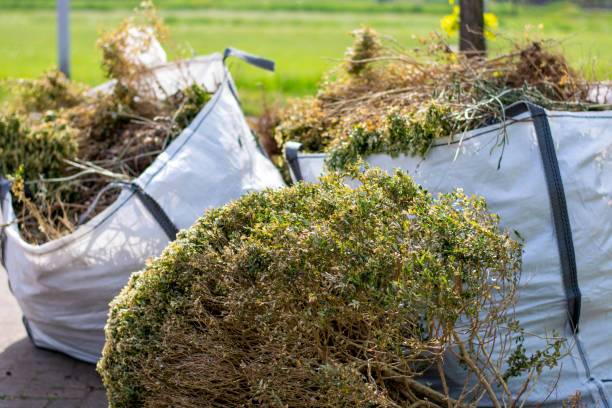 Best Junk Hauling Services  in Clearwater, SC